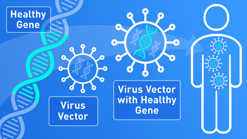 What Is Gene Therapy? How Does It Work?
